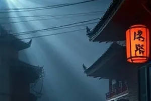 《候鸟迁徙图》老式居民楼阳台，一排花盆朝南
